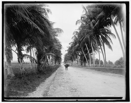 Military road, San Juan, Puerto Rico, The