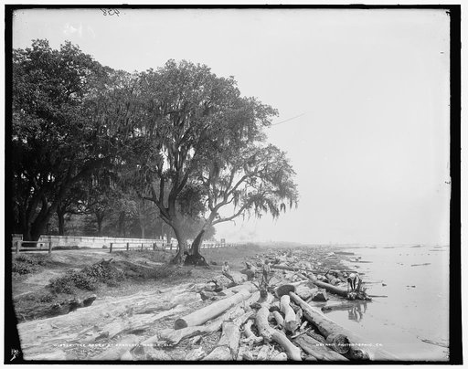 Shore at Frascati, Mobile, Ala., The