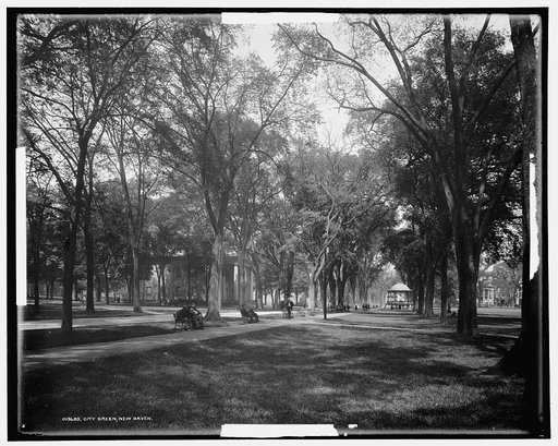 City Green, New Haven