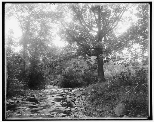 West River at Westville, New Haven