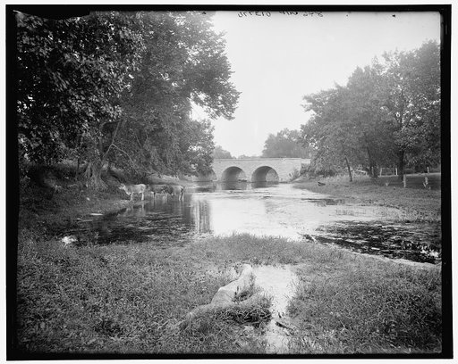 Robson's Bridge, Wilmington, Ill.