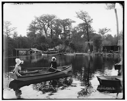 Silver Springs on the Oclawaha [sic], Florida