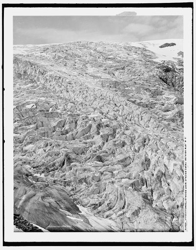 Illecillewaet Glacier from Glacier Crest, Selkirk Mts., B.C.
