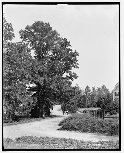 President at Chevy Chase, Washington, D.C., The