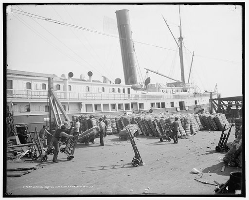 Loading cotton into a steamer, Savannah, Ga.