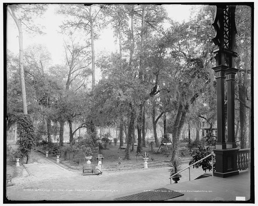 Grounds at the Pine Forest Inn, Summerville, S.C.
