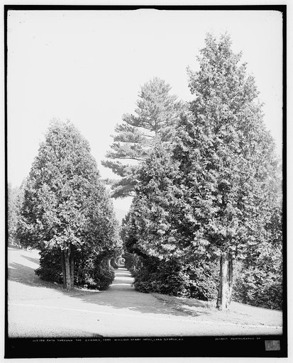 Half through the cedars, Fort William Henry Hotel, Lake George, N.Y.