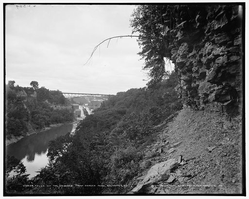 Falls of the Genesee from Seneca Park, Rochester, N.Y.