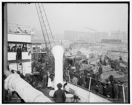Unloading a banana steamer, Baltimore, Md.