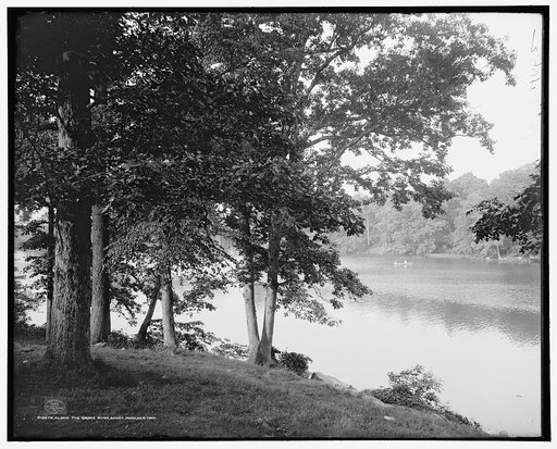 Along the Bronx River, Bronx Park, New York