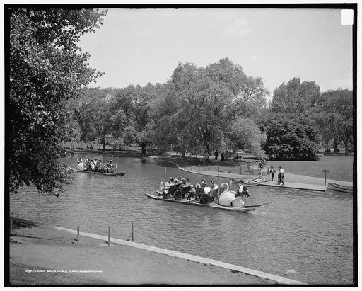 Swan boats, Public Gardens, Boston, Mass.