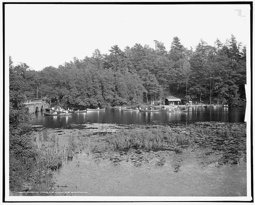 Canoeing on Charles River, Charles River Reservation, Mass.