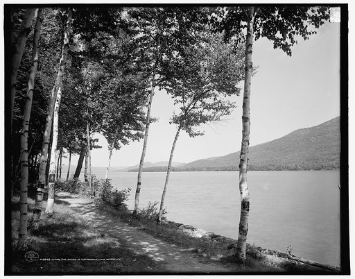 Along the shore at Cleverdale, Lake George, N.Y.