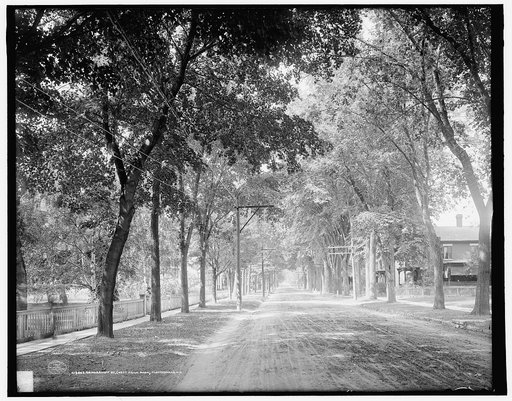 Brinkerhoff St. (west from park), Plattsburgh, N.Y.