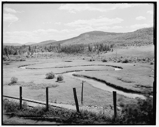 Letter "S" at state hospital, Ray Brook, Adirondack Mts., N.Y.