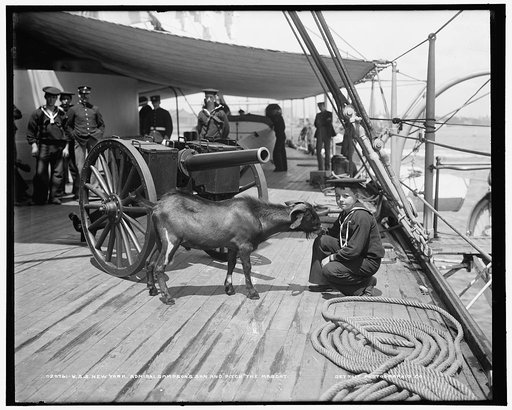 U.S.S. New York, Admiral Sampson's son and "Pitch" the mascot