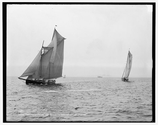 Rose Dorothea leading Jessie Costa in first [?] Fishermen's Race for Lipton Cup