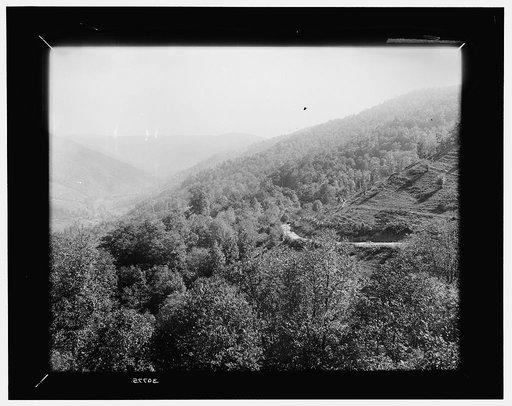 West Virginia, up the Elk from the Horn