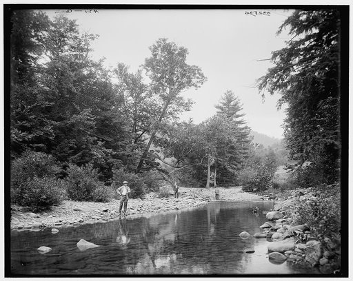 Catskill Mts., N.Y., trout fishing in the Catskills
