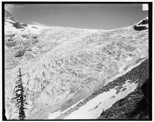 British Columbia, Selkirk Mts., Illecillewaet Glacier, from Glacier Crest