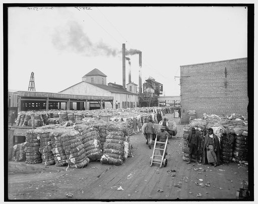 Norfolk, Virginia, cotton docks