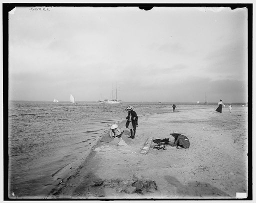 Miami, Florida, the shores of Biscayne Bay