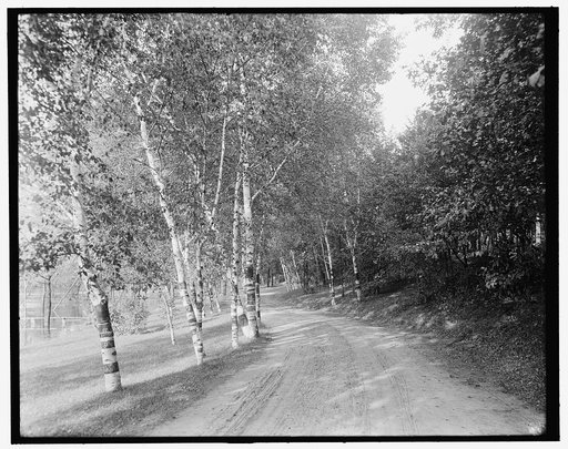 St. Paul, Minn., sunlight & shadow, Como Park