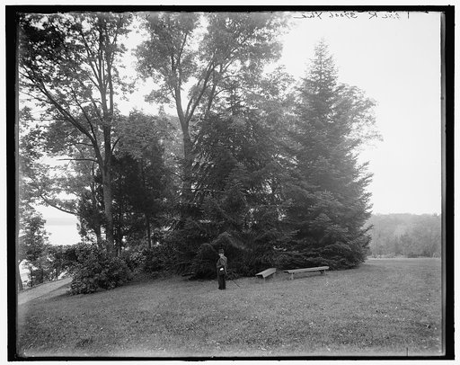 Mt. Vernon, Va., the mansion and grounds