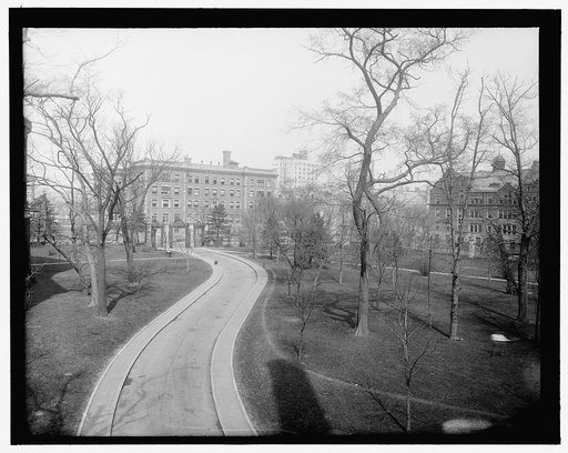 New York, N.Y., the campus, Columbia Univ.