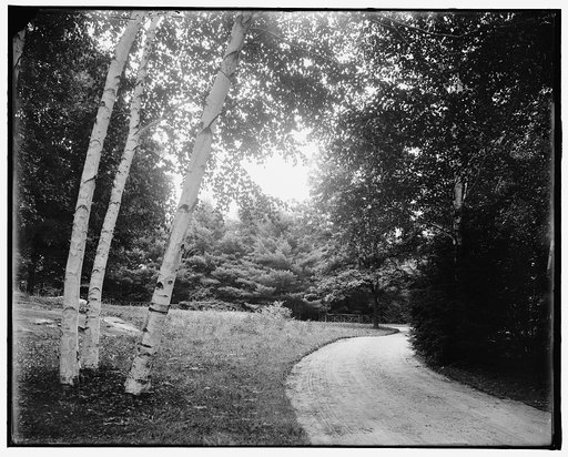 Lenox, Mass., road to Stonover
