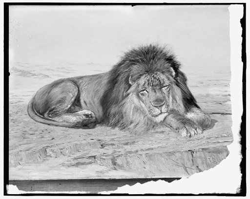 Painting of a lion