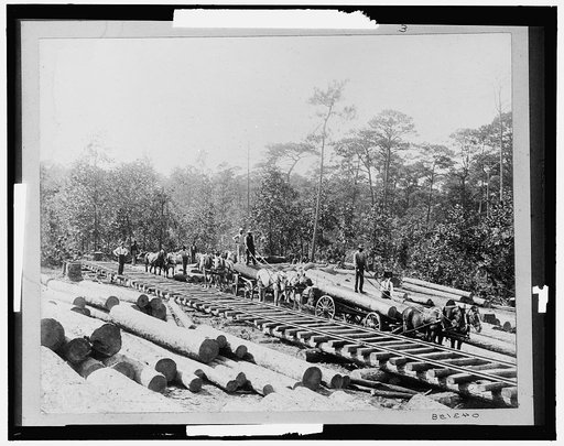 Hauling logs to Railway, Keystone Lumber Co.