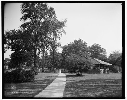 Bliss Park, Saginaw, Mich.