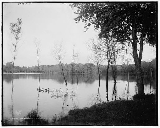 The Lake, Como Park, St. Paul, Minn.