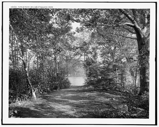 Tupelo Point, Wellesley College, Mass.