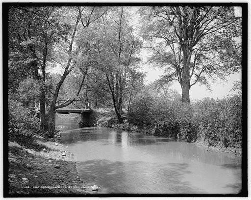 Foot Bridge, Genesee Valley Park, Rochester, N.Y.