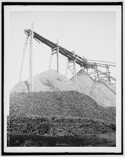 Oyster pile, Hampton, Va.