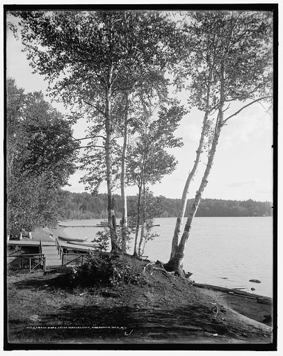 Bit of shore, Lower Saranac Lake, Adirondack Mts., N.Y., A