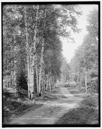 Road to the Wawbeek [Inn], Upper Saranac Lake, Adirondack Mts., N.Y.