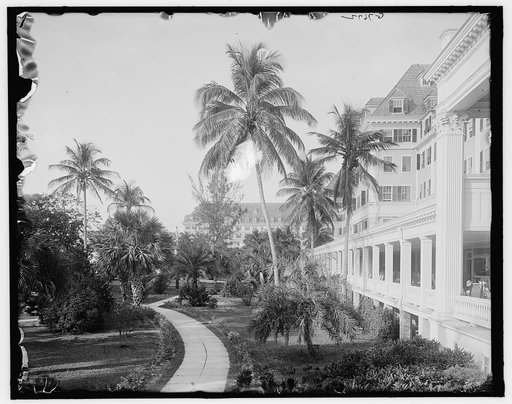 W. Palm Beach, Fla., north from the colonnade, Royal Poinciana