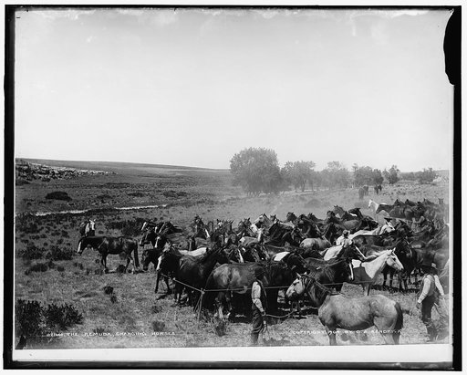 The Remuda, changing horses