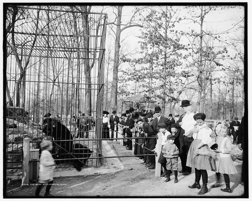 Bear pits, Memphis, Tenn., The