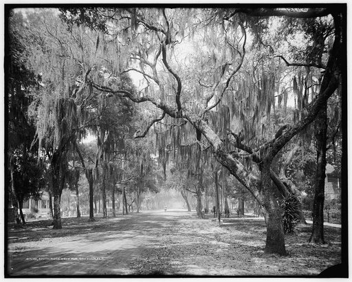 South Ridgewood Ave., Daytona, Fla.