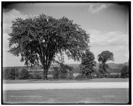 East from Erskine Park, Lenox, Mass.