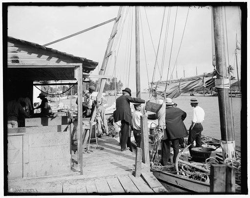 Miami, Fla., fish docks along the Miami
