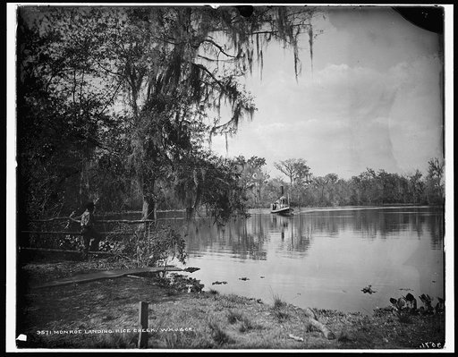 Monroe Landing, Rice Creek