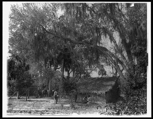 The Orange pickers, Ormond