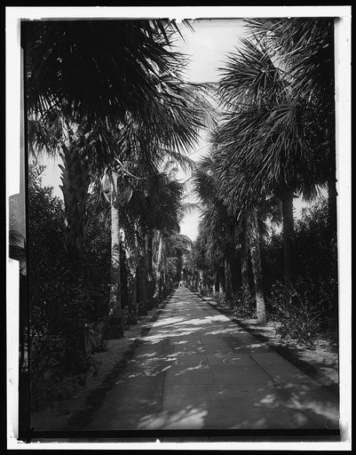 Palm Beach, Florida, Ocean Avenue