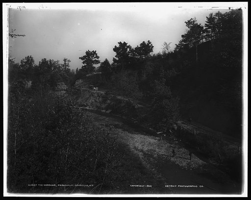 The Narrows, Poagshole, Dansville, N.Y.