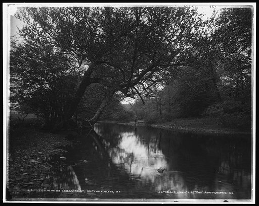Fishing on the Genegantslet, Smithville Flats, N.Y.